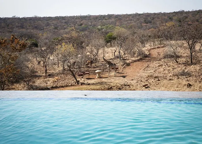 Tholo Manzi Private Game Farm