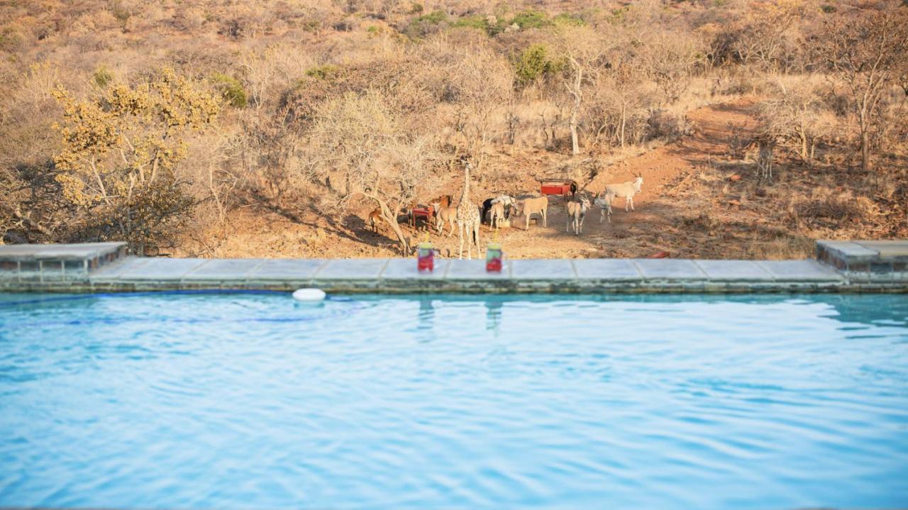 Tholo Manzi Private Game Farm *