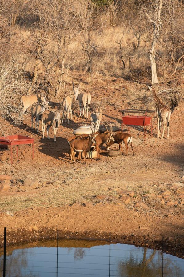 Tholo Manzi Private Game Farm Villa *