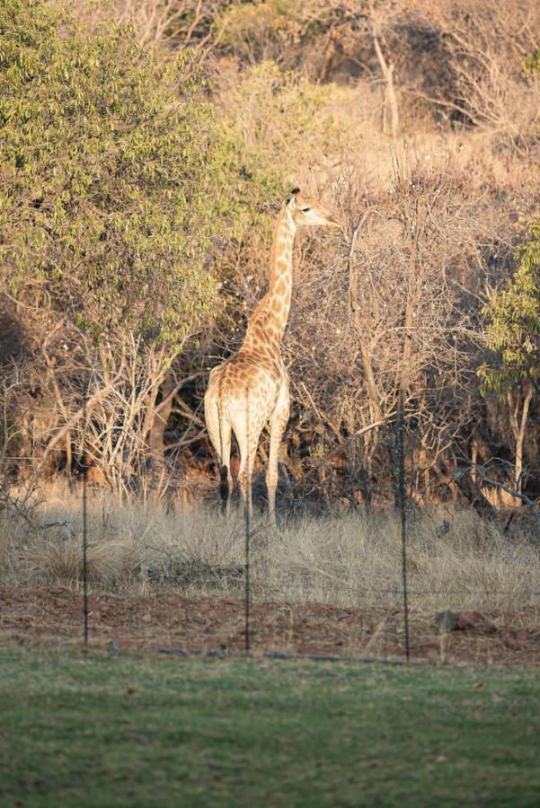 Tholo Manzi Private Game Farm Zeerust