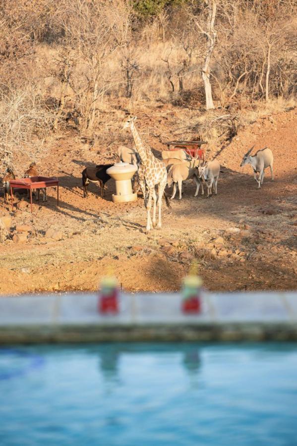 Villa Tholo Manzi Private Game Farm *
