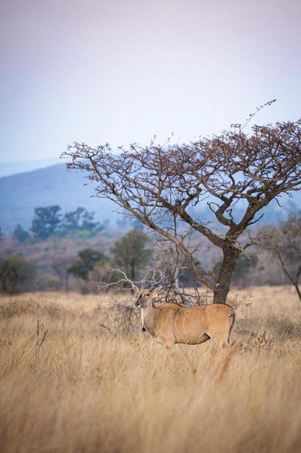 Tholo Manzi Private Game Farm Villa *